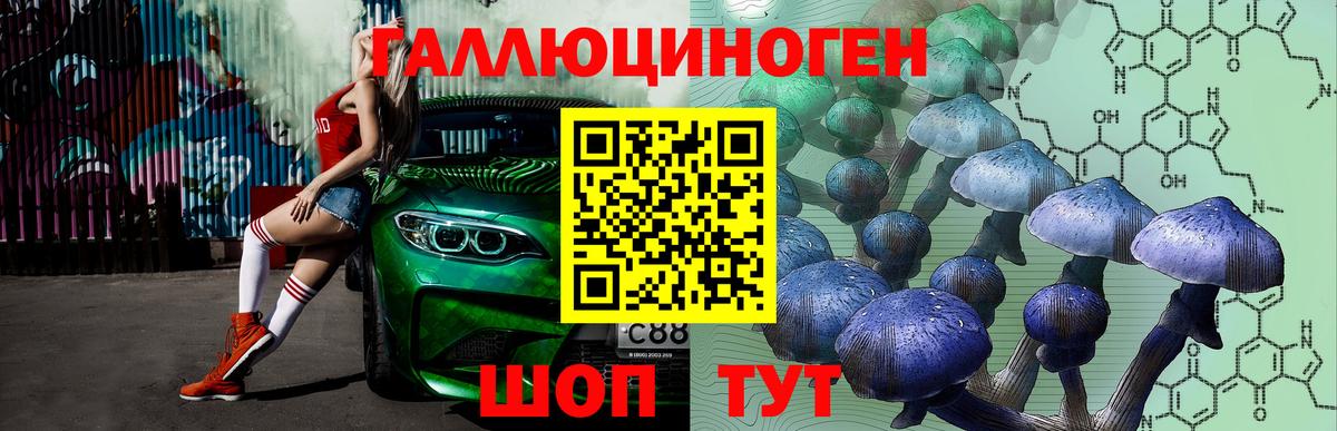 Галлюциногенные грибы мицелий  как найти закладки  Назрань  Вход с VPN 