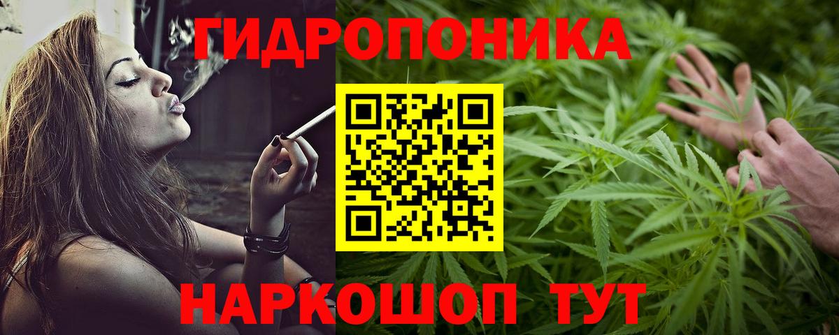 Шишки марихуана сатива Назрань